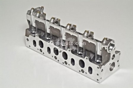 Chiulasă motor pentru: OPEL ARENA; RENAULT CLIO II, KANGOO, KANGOO EXPRESS, MEGANE I, MEGANE I CLASSIC, MEGANE SCENIC, SCENIC I, THALIA I, TRAFIC 1.9D 08.95- 2