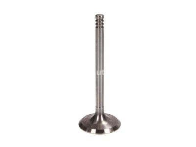 Supapă de admisie Freccia , (dimensiuni: 36x7x95,5mm) , pentru: AUDI 80 B4; SEAT CORDOBA, IBIZA II, INCA, TOLEDO I; SKODA FELICIA I, FELICIA II; VW CADDY II, CADDY II/MINIVAN, GOLF III, PASSAT B3/B4, POLO 1.9D 05.89-01.04