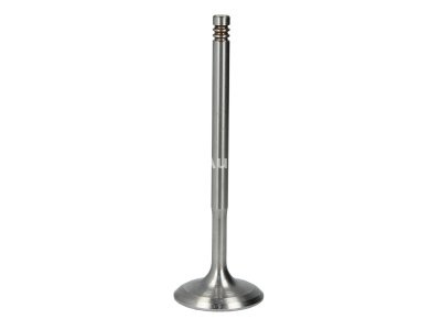 Supapă de admisie Freccia , (dimensiuni: 32x6x100mm) , pentru: BMW 1 (E81), 1 (E82), 1 (E87), 1 (E88), 3 (E46), 3 (E90), 3 (E91), 3 (E92), 3 (E93), 5 (E60), 5 (E61), 6 (E63), 6 (E64), 7 (E65, E66, E67) 1.6-4.4 12.00-06.15