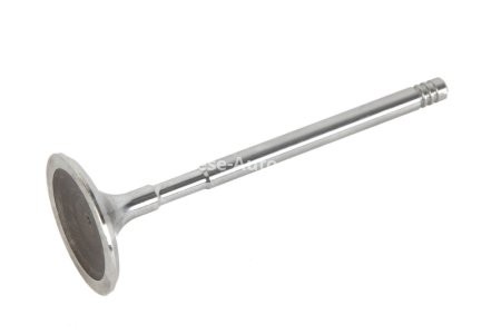 Supapă de admisie Freccia , (dimensiuni: 34,9x6x100mm) , pentru: BMW 3 (E46), 5 (E60), 5 (E61), 6 (E63), 6 (E64), 7 (E65, E66, E67), X5 (E53) 1.6/4.4 07.01-12.10