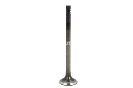 Supapă de admisie Freccia , (dimensiuni: 24,3x6x100,1mm) , pentru: VOLVO S60 II, S80 II, S90 II, V40, V60 I, V70 III, V90 II, XC60 I, XC60 II, XC70 II, XC90 II 2.0D 09.13-