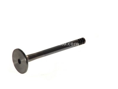 Supapă de evacuare Freccia , (dimensiuni:31,2x8x95,5 mm) , pentru: AUDI 100 C3, 100 C4, 80 B3, 80 B4, A6 C4; SEAT CORDOBA, IBIZA II, INCA, TOLEDO I; SKODA FELICIA I, FELICIA II; VW CADDY II 1.9D/2.4D/2.5D 05.89-01.04