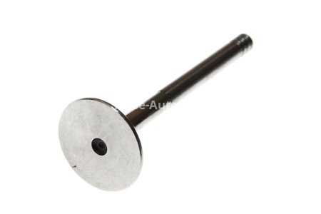 Supapă de evacuare Freccia , (dimensiuni:31,4x7x88,4 mm) , pentru: AUDI A4 B7; VW BORA, BORA I, GOLF IV, NEW BEETLE, POLO 1.9D/2.0D 09.00-09.10