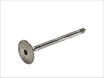 Supapă de evacuare Freccia , (dimensiuni:31,5x7x89 mm) , pentru: AUDI A2, A3, A4 B6, A4 B7; SEAT ALHAMBRA, ALTEA, ALTEA XL, CORDOBA, IBIZA III, IBIZA IV, IBIZA IV SC, LEON, TOLEDO III; SKODA FABIA I 1.4D-2.5D 01.99-