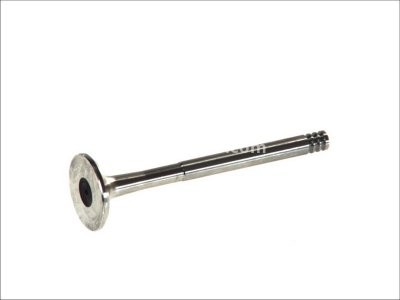 Supapă de evacuare Freccia , (dimensiuni:31x8x104,5 mm) , pentru: VOLVO 240, 740, 760, 780, 940, 940 II, 960; AUDI 100 C2, 100 C3, 80 B2, 80 B3; VW CADDY I, GOLF I, GOLF II, JETTA I, JETTA II 1.5D-2.4D 08.76-10.98