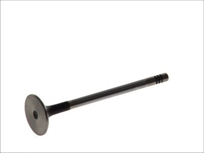 Supapă de evacuare Freccia , (dimensiuni: 28x6x102 mm) , pentru: AUDI A1, A3, A4 ALLROAD B8, A4 ALLROAD B9, A4 B7, A4 B8, A4 B9, A5, A6 ALLROAD C6, A6 C6, A6 C7, A8 D3, A8 D4, Q3, Q5, R8, TT 1.8-4.2 05.03-