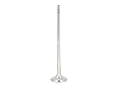 Supapă de evacuare Freccia , (dimensiuni: 25,1x5x110,75 mm) , pentru: CITROEN C3 II, C3 PICASSO, C4, C4 GRAND PICASSO I, C4 I, C4 II, C4 PICASSO I, DS3; MINI (R56), (R57), (R58), (R59), CLUBMAN (R55) 1.4/1.6 09.06-