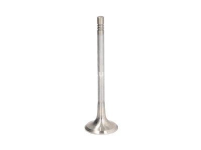 Supapă de evacuare Freccia , (dimensiuni: 27,4x5,5x95,4 mm) , pentru: CITROEN JUMPY, SPACETOURER; FORD B-MAX, C-MAX II, ECOSPORT, FIESTA VI, FIESTA VII, FOCUS II, FOCUS III, GALAXY II, GRAND C-MAX 1.4D/1.5D/1.6D 07.04-