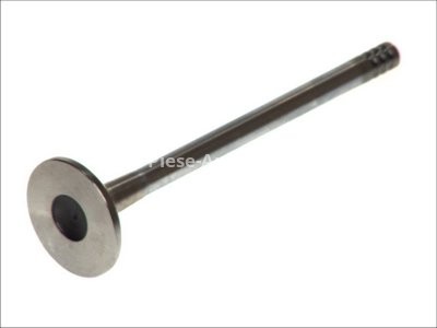 Supapă de evacuare Freccia , (dimensiuni:31,3x7x111,5 mm) , pentru: CITROEN AX, SAXO, XSARA, XSARA PICASSO; PEUGEOT 106 I, 106 II, 206, 306 1.3/1.4/1.6 06.91-06.03