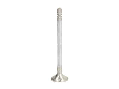 Supapă de evacuare Freccia , (dimensiuni: 23,5x5,5x96,25 mm) , pentru: CITROEN BERLINGO MULTISPACE, BERLINGO/MINIVAN, C3 I, C3 PICASSO, C4, C4 GRAND PICASSO I, C4 I, C4 PICASSO I, C5 II, C5 III 1.6D 11.03-