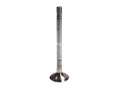 Supapă de evacuare Freccia , (dimensiuni:31x8x114,2 mm) , pentru: FIAT BRAVA, BRAVO I, DOBLO, DOBLO/MINIVAN, MAREA, PALIO, PUNTO, STRADA; LANCIA KAPPA 1.9D/2.4D 08.94-