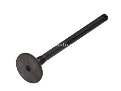 Supapă de evacuare Freccia , (dimensiuni:34x8x130 mm) , pentru: FIAT FULLBACK; HYUNDAI GALLOPER II, H-1, H-1 / STAREX, H100, PORTER, TERRACAN, HD LIGHT; KIA K2500, PREGIO; MITSUBISHI L 300 III, L200 2.5D/2.6D 05.86-