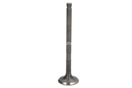 Supapă de evacuare Freccia , (dimensiuni: 22,9x5,5x87 mm) , pentru: NISSAN PIXO; OPEL AGILA; SUZUKI ALTO VII, CELERIO, SPLASH 1.0/1.0LPG 01.08-