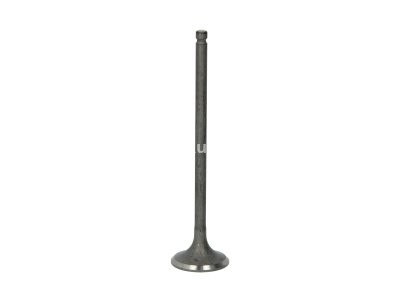 Supapă de evacuare Freccia , (dimensiuni: 25,4x5x102,5 mm) , pentru: NISSAN CUBE, JUKE, MICRA C+C III, MICRA III, MICRA IV, NOTE, NV200, NV200 / EVALIA, QASHQAI I, SENTRA VII, TIIDA 1.2/1.6 05.05-