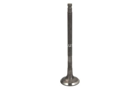 Supapă de evacuare Freccia , (dimensiuni: 25,9x6x105,5 mm) , pentru: NISSAN CABSTAR, MURANO II, NAVARA, NP300, NP300 NAVARA, PATHFINDER III, PICK UP, SERENA; RVI MAXITY 2.5D 06.99-