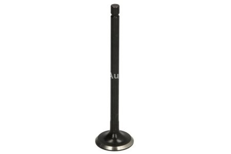 Supapă de evacuare Freccia , (dimensiuni: 25x5,5x94,7 mm) , pentru: NISSAN ALMERA II, ALMERA TINO, PRIMERA, SENTRA V 1.8 08.99-10.08