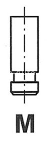 Supapă de evacuare Freccia , (dimensiuni:32x7x101,6 mm) , pentru: NISSAN PATROL GR IV, PATROL GR V, PATROL III/2 2.8D 05.86-05.00
