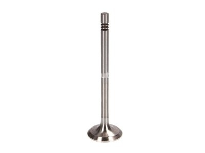 Supapă de evacuare Freccia , (dimensiuni: 28x6x99,2 mm) , pentru: SEAT AROSA, CORDOBA, CORDOBA VARIO, IBIZA II, IBIZA III, INCA; SKODA FABIA I, FABIA I PRAKTIK, FABIA II; VW CADDY II 1.2/1.4/1.6 09.93-12.14