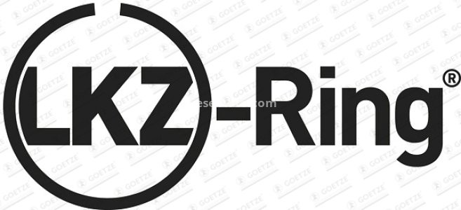 Segmenți piston GOETZE pentru : BMW 1 (E87), 3 (E46), 3 (E90), 3 (E91), 3 (E92), 3 (E93), 5 (E60), 5 (E61), 7 (E65, E66, E67), X3 (E83) 2.0D/3.0D 06.02-12.13 : BMW