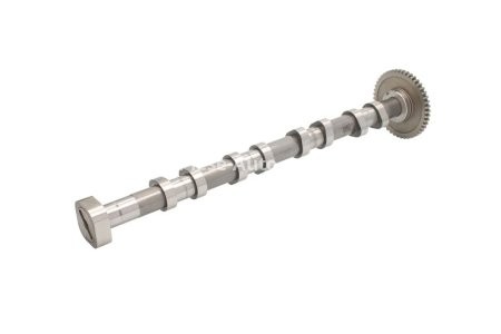Ax came ,KOLBENSCHMIDT ,partea evacuării, pentru: AUDI A3, A4 B8, A5, TT; SEAT ALHAMBRA, ALTEA, ALTEA XL, EXEO, EXEO ST, LEON, TOLEDO III; SKODA OCTAVIA II, SUPERB II, YETI; VW CC B7 1.8 11.06-