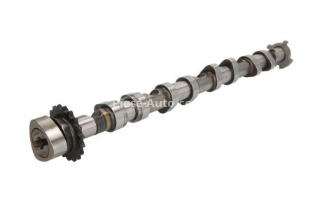 Ax came ,AE, partea de admisie ,pentru: AUDI A3, TT; SEAT ALHAMBRA, ALTEA, ALTEA XL, LEON, TOLEDO III; SKODA OCTAVIA II, SUPERB II; VW BEETLE, EOS, GOLF V, GOLF VI, JETTA III 2.0 09.04-