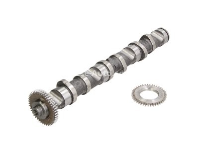 Ax came ,AUTLOG ,partea evacuarii  ,pentru: AUDI A4 B6, A4 B7, A6 C5; VW PASSAT B5.5 2.5D 02.00-05.06