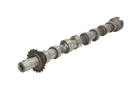 Ax came ,KOLBENSCHMIDT ,partea evacuarii ,pentru: CITROEN C4, C4 GRAND PICASSO I, C4 I, C4 PICASSO I, C5, C5 II, C5 III, C8, EVASION, JUMPY; FIAT SCUDO, ULYSSE 2.0D 05.99-