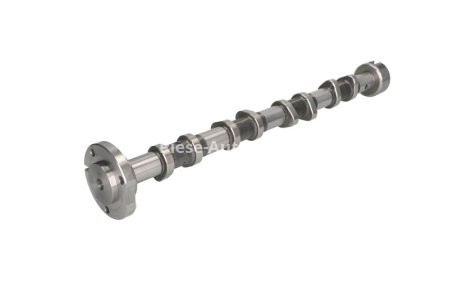 Ax came ,KOLBENSCHMIDT, partea de admisie ,pentru: CITROEN JUMPER; FORD TOURNEO CUSTOM V362, TRANSIT, TRANSIT CUSTOM V362, TRANSIT TOURNEO, TRANSIT V363; PEUGEOT BOXER 2.2D 04.06-