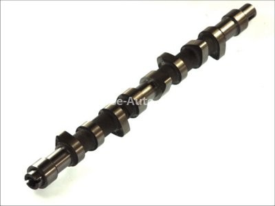 Ax came ,AE , pentru: CITROEN BERLINGO, BERLINGO/MINIVAN, BX, C15, C15/MINIVAN, C25, EVASION, JUMPER, JUMPY, VISA, XANTIA, XSARA, ZX; FIAT DUCATO, SCUDO 1.7D/1.8D/1.9D 10.82-12.15