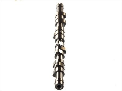 Ax came ,AE , pentru: RENAULT ESPACE III, LAGUNA I, SAFRANE II 2.2D 03.96-03.01