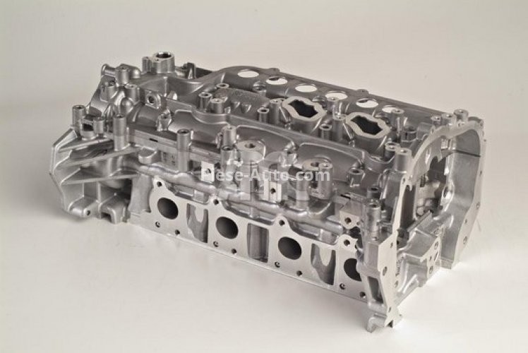 Chiulasă motor pentru: NISSAN PRIMASTAR, QASHQAI I, X-TRAIL, X-TRAIL II, X-TRAIL III; OPEL VIVARO A; RENAULT ESPACE IV, GRAND SCENIC II, KOLEOS I, LAGUNA, LAGUNA II, LAGUNA III 2.0D 08.05-
