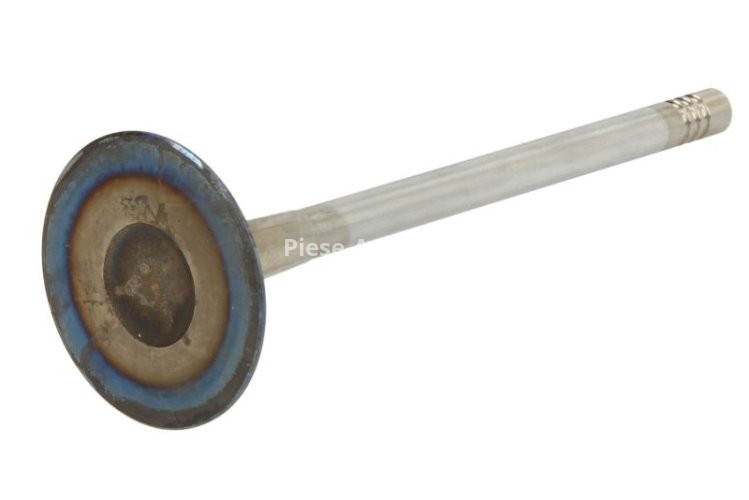 Supapă de admisie Freccia , (dimensiuni: 33,85x6x104mm) , pentru: AUDI A3, A4 ALLROAD B8, A4 ALLROAD B9, A4 B8, A4 B9, A5, A6 C7, A7, Q3, Q5, Q7, TT; PORSCHE MACAN; SEAT ALHAMBRA, IBIZA IV SC, LEON, LEON SC, LEON ST 1.8-2.5 10.07-