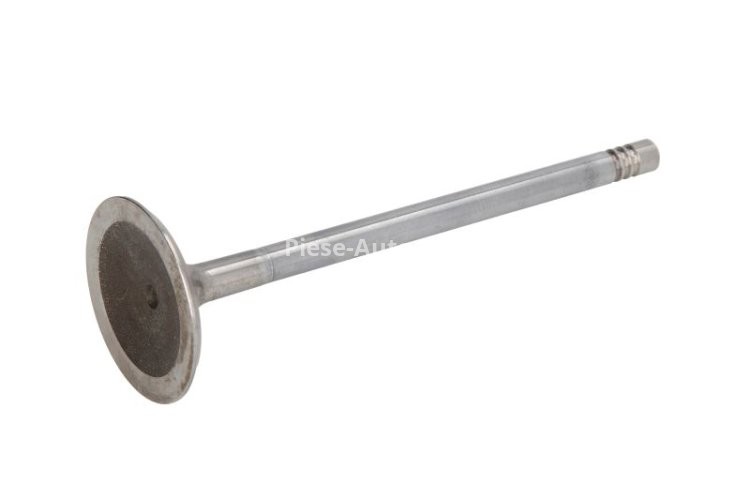 Supapă de admisie Freccia , (dimensiuni: 33,9x6x104mm) , pentru: AUDI A1, A3, A4 ALLROAD B8, A4 B7, A4 B8, A5, A6 ALLROAD C6, A6 C6, A6 C7, A8 D3, A8 D4, Q3, Q5, R8, TT; SEAT ALHAMBRA, ALTEA, ALTEA XL, EXEO 1.8-4.2 09.04-