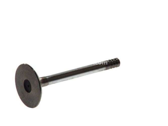 Supapă de admisie Freccia , (dimensiuni: 38x8x91,9mm) , pentru: AUDI 100 C3, 80 B2, 80 B4, COUPE B2; VW CADDY I, GOLF I, GOLF II, GOLF III, GOLF IV, JETTA II, PASSAT B2, PASSAT B3/B4, SCIROCCO, VENTO 1.6/1.8 09.82-06.02