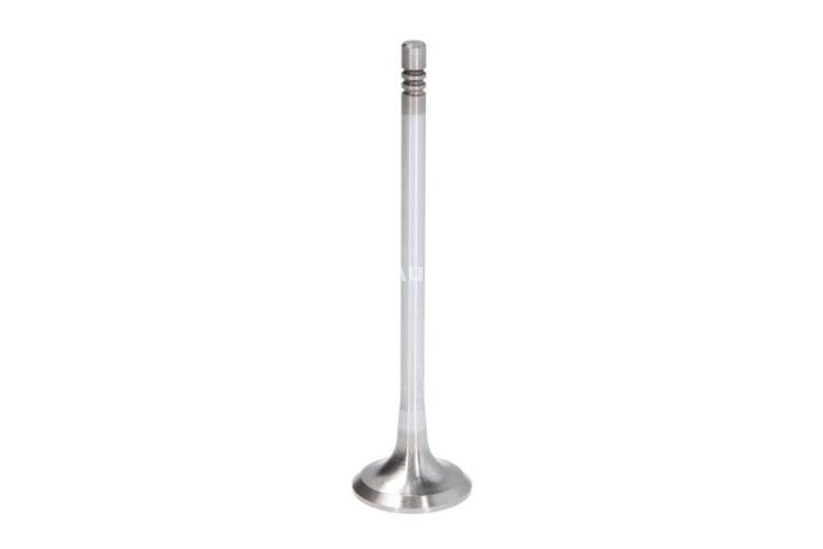 Supapă de admisie Freccia , (dimensiuni: 24,8x5x94mm) , pentru: BMW 1 (F20), 1 (F21); MINI (R56), (R57), CLUBMAN (R55), CLUBVAN (R55), COUNTRYMAN (R60), PACEMAN (R61) 1.6D 05.09-