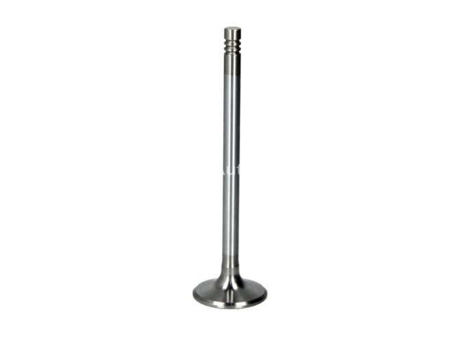 Supapă de admisie Freccia , (dimensiuni: 27,5x6x99,8mm) , pentru: BMW 3 (E90), 3 (E91), 3 (E92), 5 (E60), 5 (E61), 6 (E63), 6 (E64), X3 (E83), X5 (E70), X6 (E71, E72) 3.0D 03.06-07.13