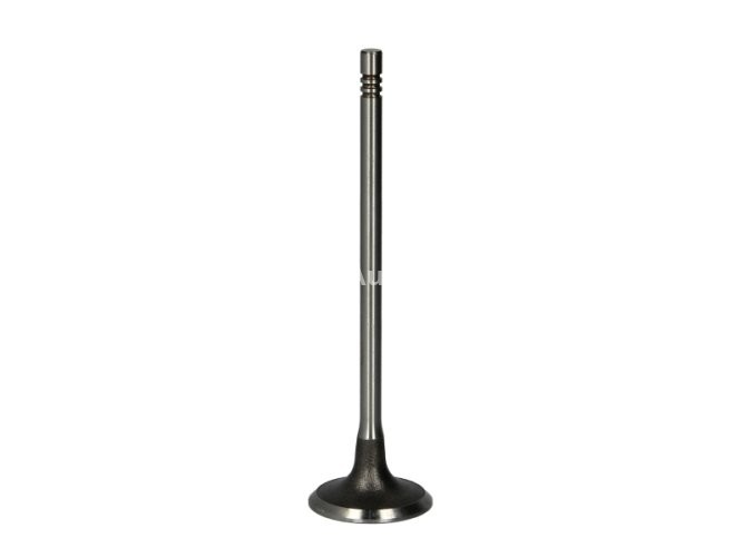 Supapă de admisie Freccia , (dimensiuni: 28,8x5x105,7mm) , pentru: DS DS 3, DS 4, DS 5; BMW 1 (F20), 1 (F21), 3 (F30, F80), 3 (F31); CITROEN BERLINGO MULTISPACE, BERLINGO/MINIVAN, C4, C4 GRAND PICASSO I 1.6/1.6H 02.06-