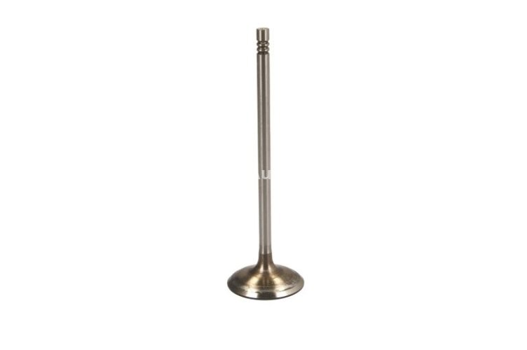Supapă de admisie Freccia , (dimensiuni: 32x5x106,7mm) , pentru: BMW 3 (E90), 3 (E91), 3 (E92), 3 (E93), 5 (E60), 5 (E61), 5 (F10), 5 (F11), 6 (E63), 6 (E64) 3.0 10.06-12.13