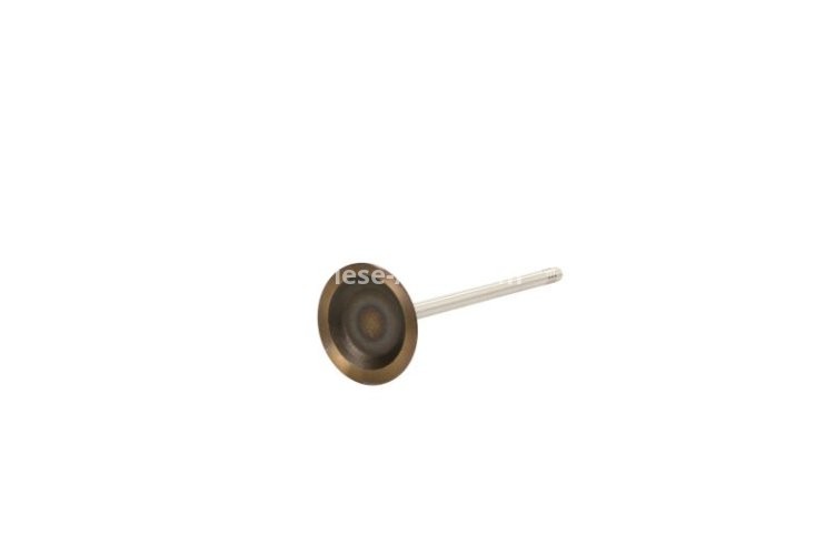 Supapă de admisie Freccia , (dimensiuni: 34,17x5x104,4mm) , pentru: BMW 1 (E81), 1 (E82), 1 (E87), 1 (E88), 3 (E90), 3 (E91), 3 (E92), 3 (E93), 5 (E60), 5 (E61), 5 (F10), 5 (F11), 6 (E63), 6 (E64), 7 (E65 3.0 09.04-06.15