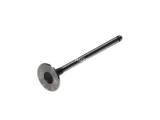Supapă de admisie Freccia , (dimensiuni: 28,5x6x101,6mm) , pentru: CHEVROLET CRUZE, LACETTI, NUBIRA; DAEWOO KALOS, LACETTI, NUBIRA 1.4/1.6 04.03-