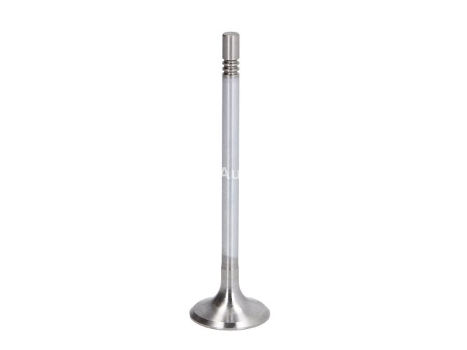 Supapă de admisie Freccia , (dimensiuni: 28,5x6x102,3mm) , pentru: MERCEDES A (W169), B SPORTS TOURER (W245), C (W203), C (W204), C T-MODEL (S203), C T-MODEL (S204), CLK (A209), CLK (C209), CLS (C218) 1.5D/2.0D/3.0D 08.04-