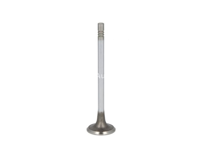 Supapă de admisie Freccia , (dimensiuni: 25,6x5,5x96,06mm) , pentru: CITROEN BERLINGO MULTISPACE, BERLINGO/MINIVAN, C3 I, C3 PICASSO, C4, C4 GRAND PICASSO I, C4 I, C4 PICASSO I, C5 II, C5 III, XSARA PICASSO 1.6D 11.03-