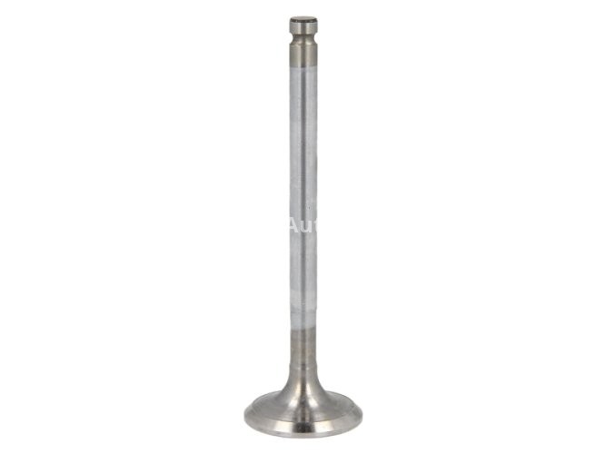 Supapă de admisie Freccia , (dimensiuni: 30,4x7x102,5mm) , pentru: FIAT BRAVA, BRAVO I, DOBLO, DOBLO/MINIVAN, MAREA, MULTIPLA, PALIO, SIENA, STILO; LANCIA DEDRA, DELTA II, LYBRA 1.6/1.6CNG 10.95-