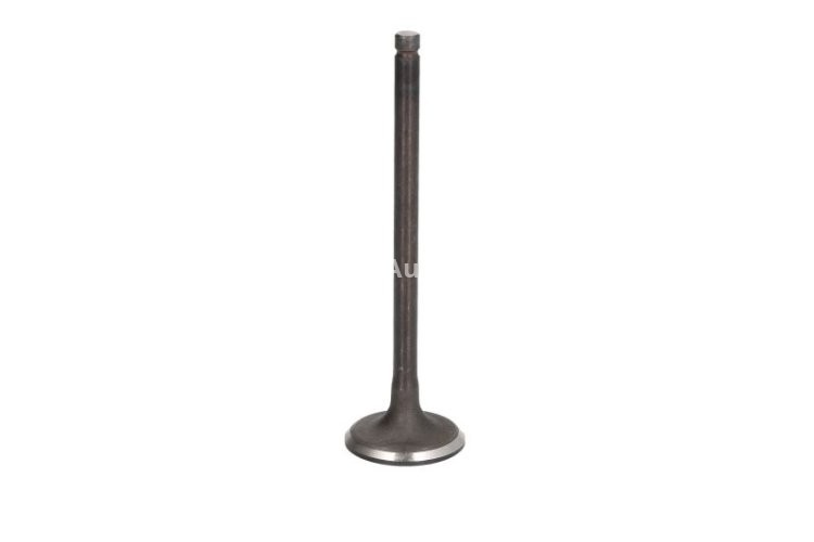 Supapă de admisie Freccia , (dimensiuni: 26,75x5,5x93mm) , pentru: HYUNDAI I10 I, I20 ACTIVE, I20 II, I30, KONA; KIA CEE'D, PICANTO, PRO CEE'D, RIO IV, STONIC 1.0 01.11-