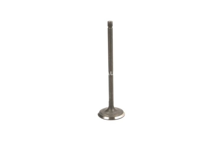 Supapă de admisie Freccia , (dimensiuni: 32x5,5x109,4mm) , pentru: LEXUS CT; LOTUS ELISE; TOYOTA AURIS, AVENSIS, C-HR, COROLLA, MATRIX, PRIUS, PRIUS PHV, PRIUS PLUS, RAV 4 III, RAV 4 IV, URBAN CRUISER, VERSO 1.6-2.0 11.06-
