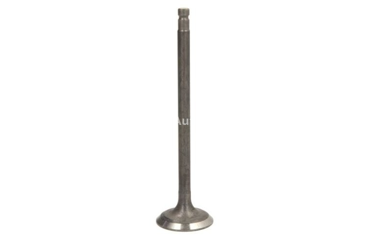 Supapă de admisie Freccia , (dimensiuni: 28,5x6x106mm) , pentru: NISSAN CABSTAR, MURANO II, NAVARA, NP300, NP300 NAVARA, PATHFINDER III, PICK UP, SERENA; RVI MAXITY 2.5D 06.99-