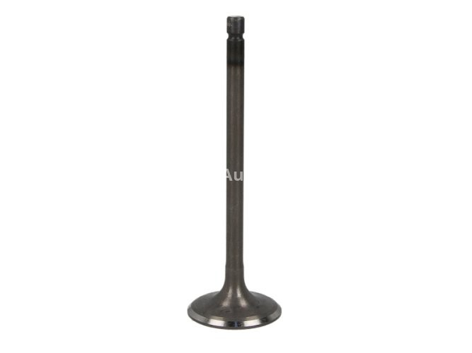 Supapă de admisie Freccia , (dimensiuni: 30x5,5x94,3mm) , pentru: NISSAN ALMERA II, ALMERA TINO, PRIMERA, SENTRA V 1.8 08.99-10.08