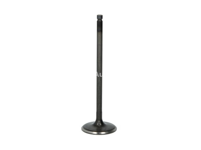 Supapă de admisie Freccia , (dimensiuni: 31,1x5x101,77mm) , pentru: NISSAN CUBE, JUKE, MICRA C+C III, MICRA III, MICRA IV, NOTE, NV200, NV200 / EVALIA, QASHQAI I, SENTRA VII, TIIDA 1.2/1.6 05.05-