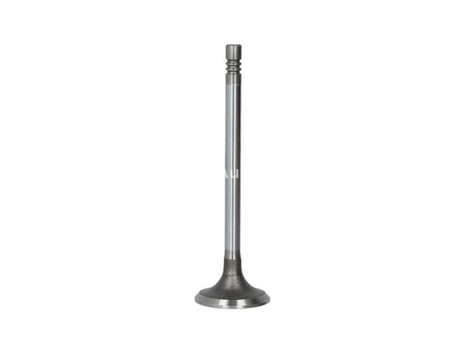 Supapă de admisie Freccia , (dimensiuni: 31,1x5x101,77mm) , pentru: NISSAN CUBE, JUKE, MICRA C+C III, MICRA III, MICRA IV, NOTE, NV200, NV200 / EVALIA, QASHQAI I, SENTRA VII, TIIDA 1.2/1.6 05.05-