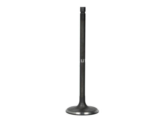 Supapă de admisie Freccia , (dimensiuni: 33,9x5,5x106,3mm) , pentru: NISSAN QASHQAI I, SENTRA VI, X-TRAIL II; RENAULT GRAND SCENIC III, MEGANE, MEGANE III, SCENIC III 2.0 10.06-